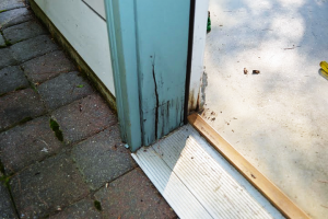 Carpenter for door and window repair
