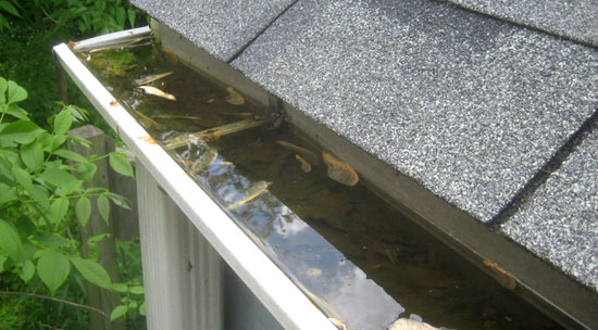 Roof maintenance and cleaning tips