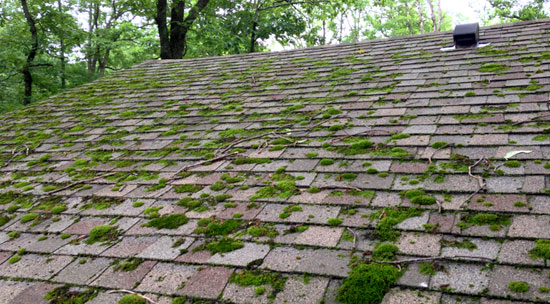 Roof maintenance and cleaning tips