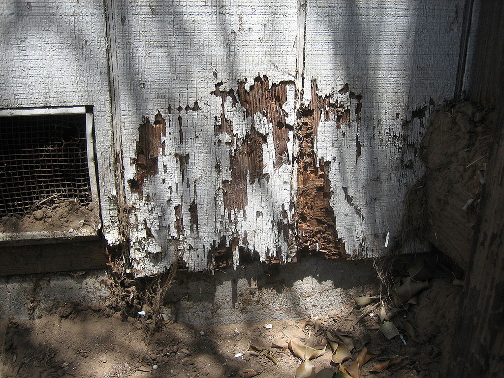 Avoid timber in house for termite prevention