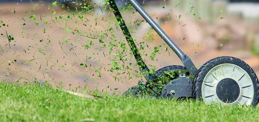 mow a lawn like a pro