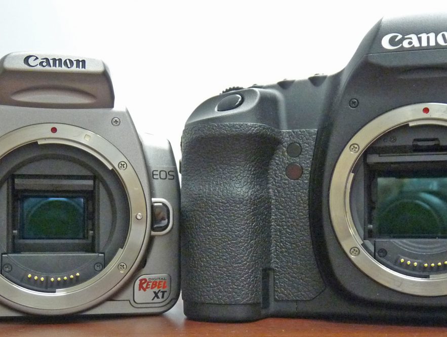 differences between SLRs and DSLRs