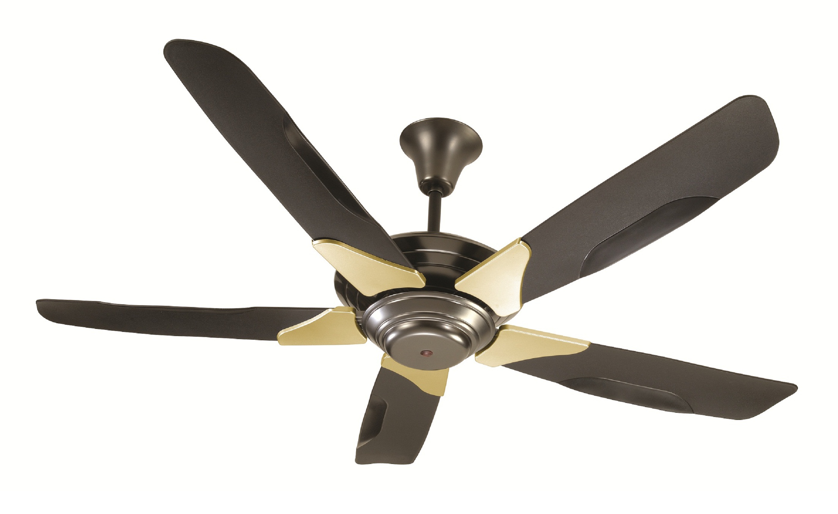 All You Need To Know About Ceiling Fan Motor Repair Ideas By Mr