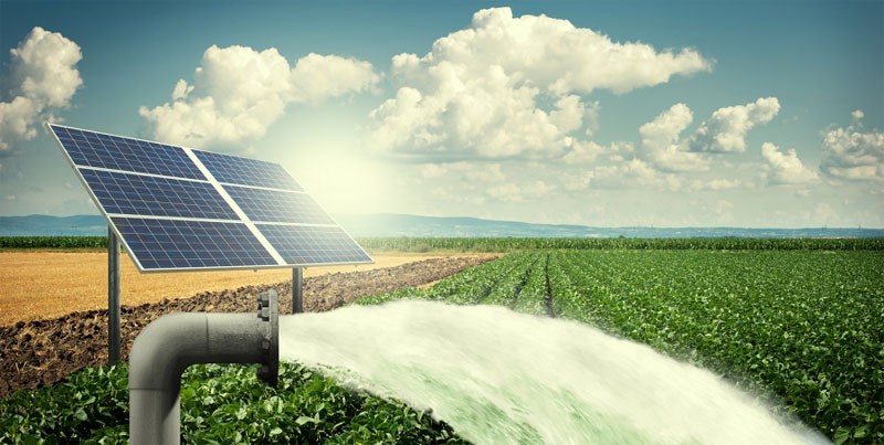 Installing solar water pump: a complete guide - Ideas by Mr Right