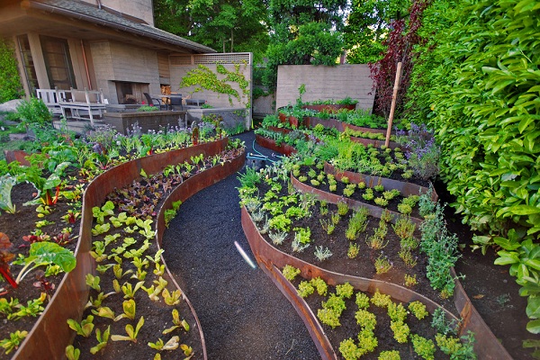 Vegetable Garden Layout Ideas, Small Vegetable Garden Layout Plans And Spacing