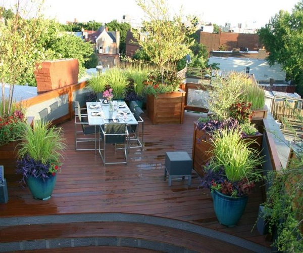 terrace garden maintenance tips