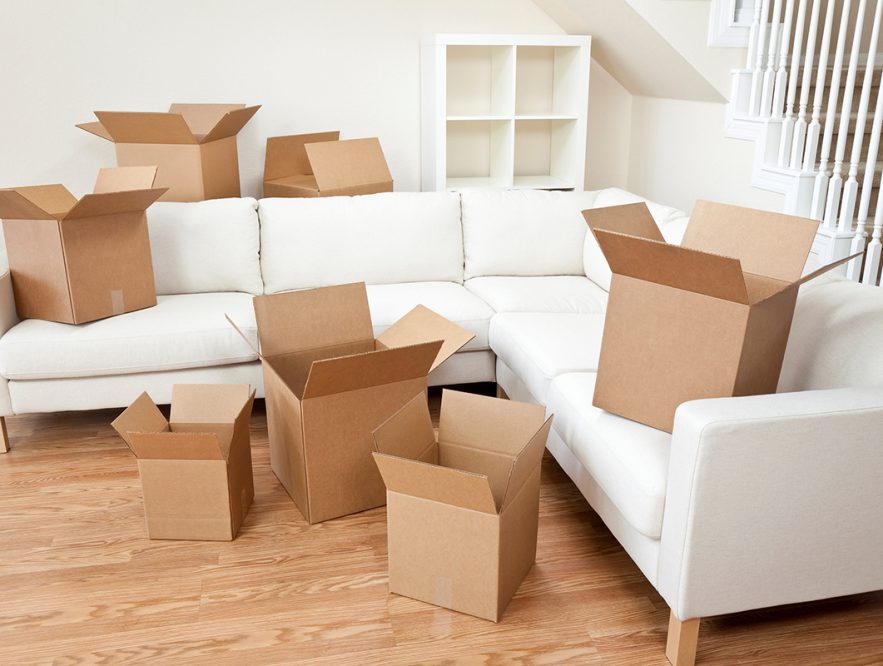 Everything You Need to Know About Removals Insurance - Ideas by Mr Right