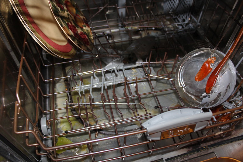 wet dishes in dishwasher